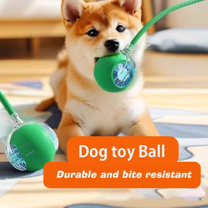 · Automatic Smart Ball for Dogs – Interactive Rolling Toy with Battery · Smart Dog Ball – Automatic Rolling & Bouncing Toy for Interactive Play · Rechargeable Automatic Dog Ball – Smart Toy for Endless Fun
