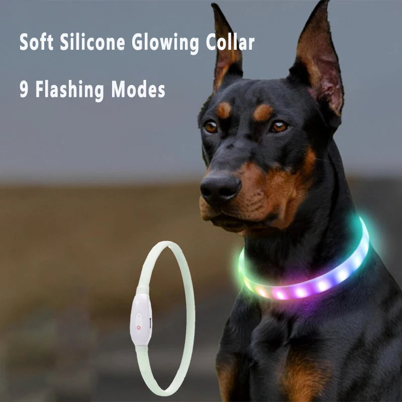 Glowing Dog Collar – USB Rechargeable, Silicone, 9 Light Modes for Small & Large Dogs