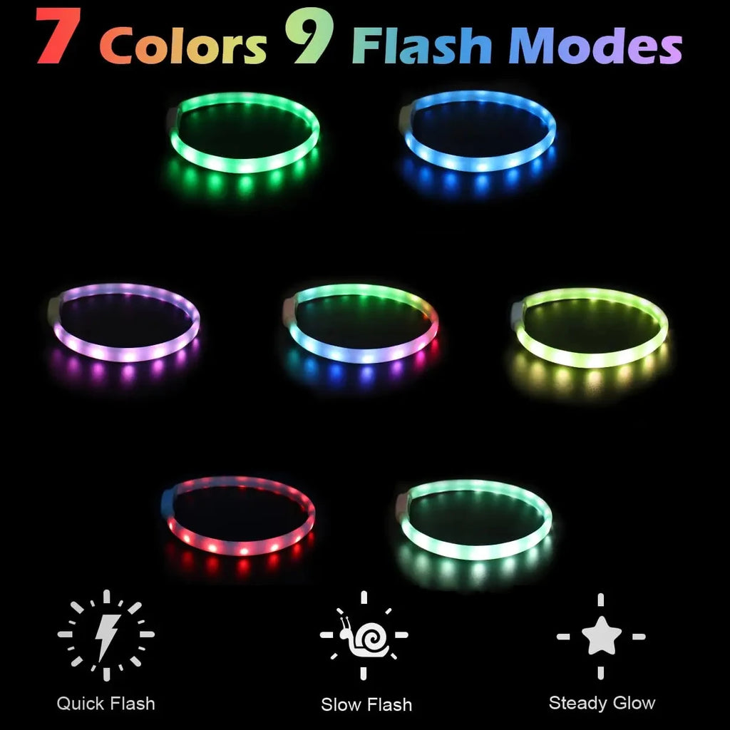 Glowing Dog Collar – USB Rechargeable, Silicone, 9 Light Modes for Small & Large Dogs