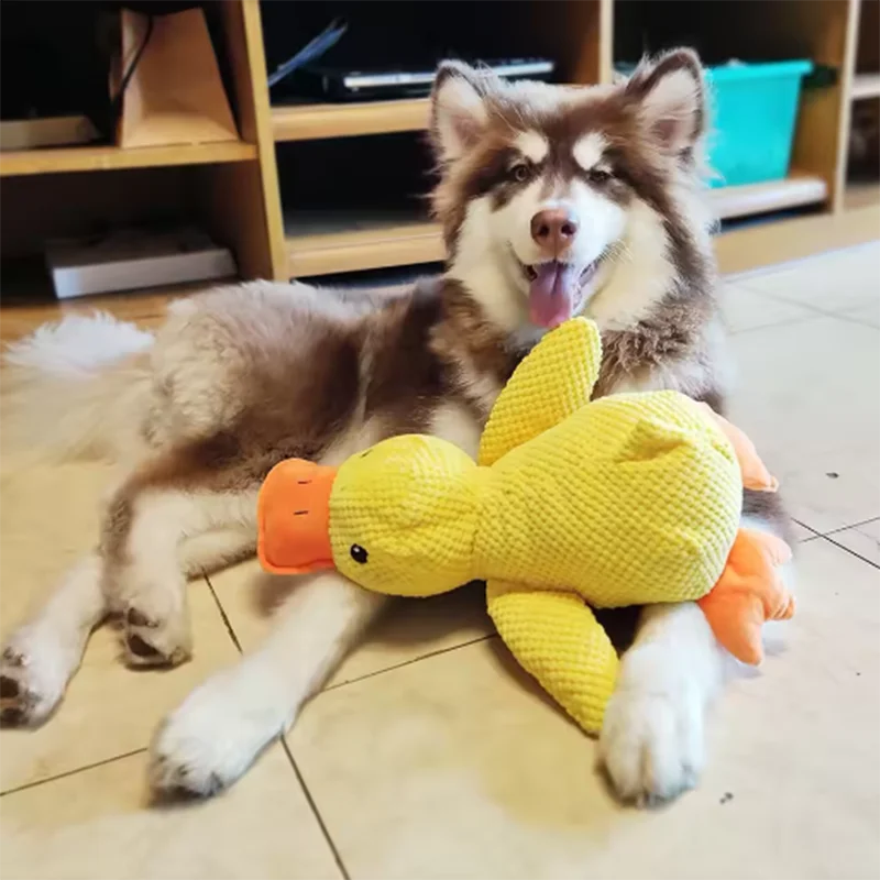 Hug Duck Dog Toy – Anxiety Relief & Boredom Buster for Small Dogs (Soft Fleece Squeaky Toy for Cuddling & Interactive Play)