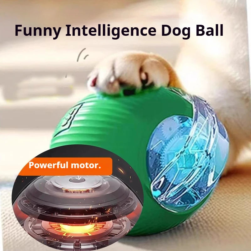 · Automatic Smart Ball for Dogs – Interactive Rolling Toy with Battery · Smart Dog Ball – Automatic Rolling & Bouncing Toy for Interactive Play · Rechargeable Automatic Dog Ball – Smart Toy for Endless Fun