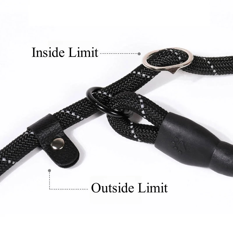 Strong Dog Leash 150-300cm – Anti-Burst Heavy Duty Lead with Reflective, Padded Handle & Quick Release for Medium/Large Dogs