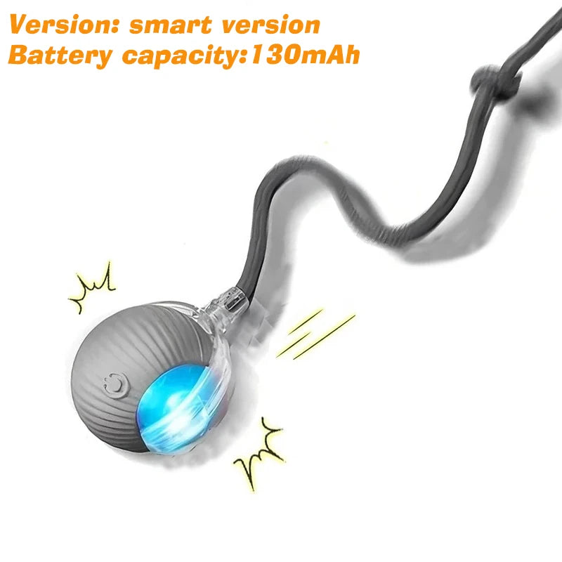 · Automatic Smart Ball for Dogs – Interactive Rolling Toy with Battery · Smart Dog Ball – Automatic Rolling & Bouncing Toy for Interactive Play · Rechargeable Automatic Dog Ball – Smart Toy for Endless Fun