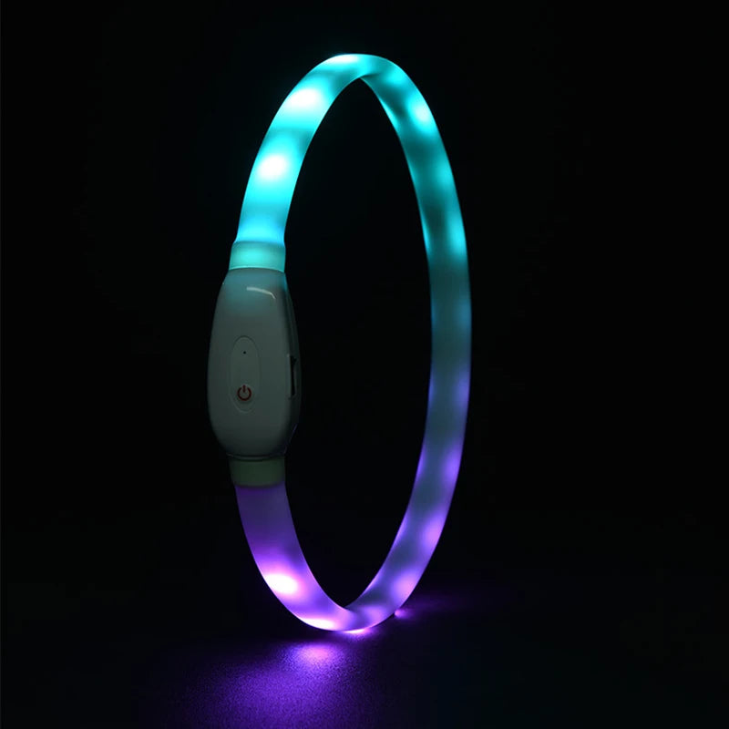 Glowing Dog Collar – USB Rechargeable, Silicone, 9 Light Modes for Small & Large Dogs