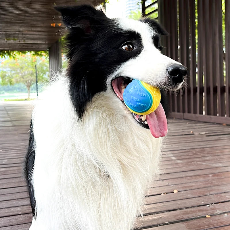 Safe & Tough TPR Dog Balls – Bite-Resistant, Non-Toxic & Perfect for Fetch