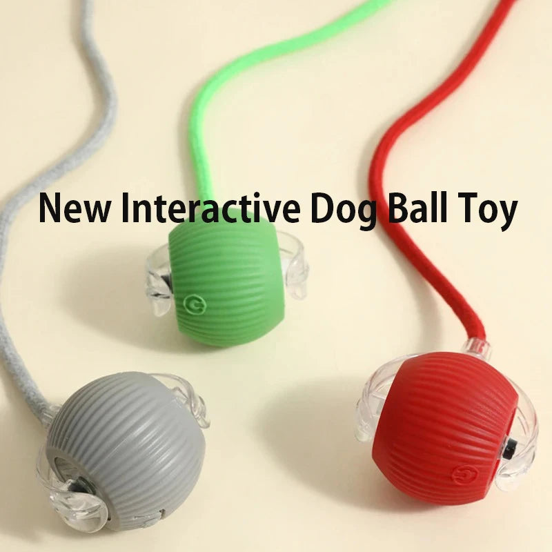 · Automatic Smart Ball for Dogs – Interactive Rolling Toy with Battery · Smart Dog Ball – Automatic Rolling & Bouncing Toy for Interactive Play · Rechargeable Automatic Dog Ball – Smart Toy for Endless Fun