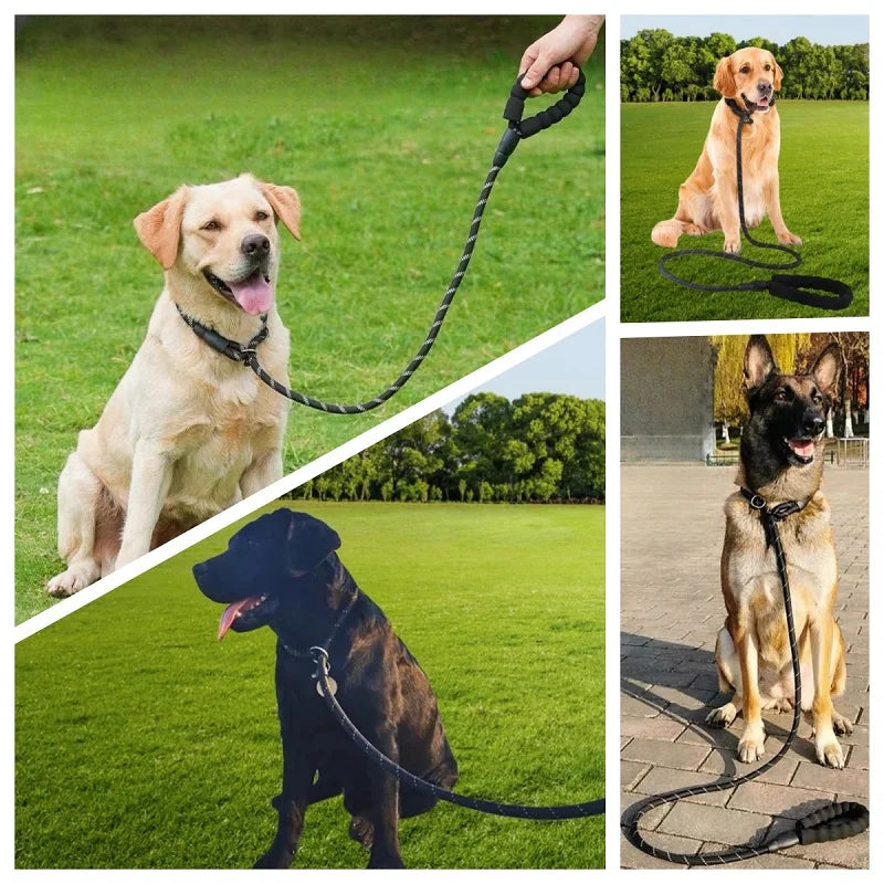 Strong Dog Leash 150-300cm – Anti-Burst Heavy Duty Lead with Reflective, Padded Handle & Quick Release for Medium/Large Dogs