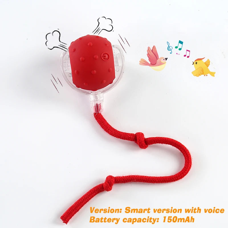· Automatic Smart Ball for Dogs – Interactive Rolling Toy with Battery · Smart Dog Ball – Automatic Rolling & Bouncing Toy for Interactive Play · Rechargeable Automatic Dog Ball – Smart Toy for Endless Fun
