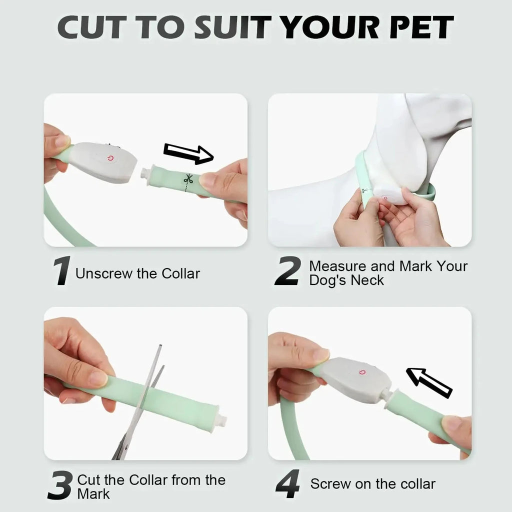 Glowing Dog Collar – USB Rechargeable, Silicone, 9 Light Modes for Small & Large Dogs