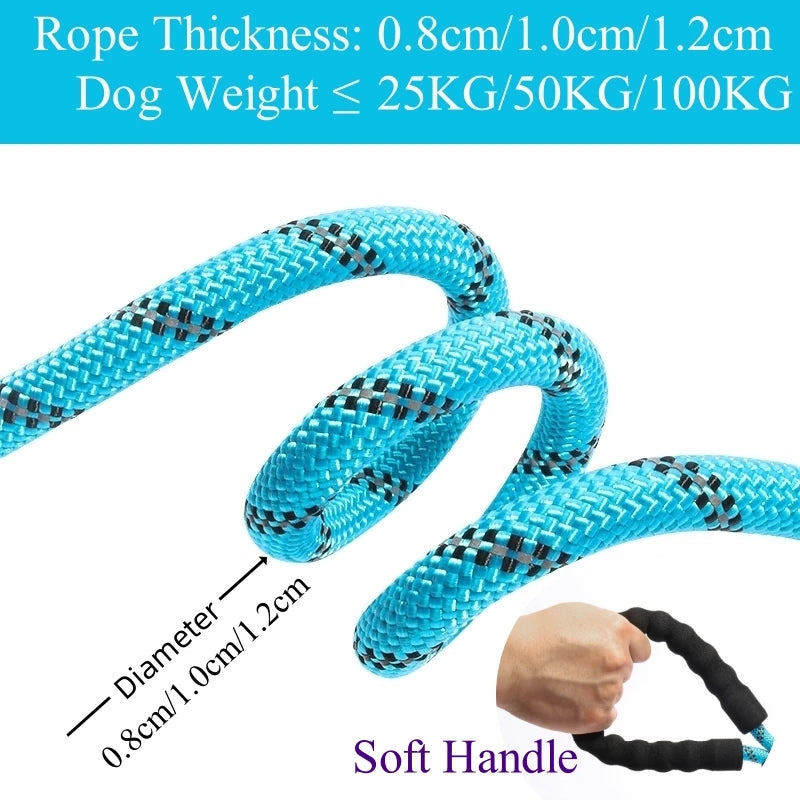 Strong Dog Leash 150-300cm – Anti-Burst Heavy Duty Lead with Reflective, Padded Handle & Quick Release for Medium/Large Dogs