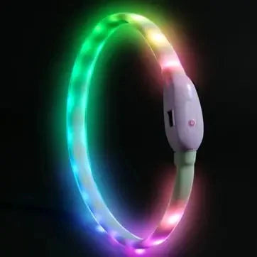 Glowing Dog Collar – USB Rechargeable, Silicone, 9 Light Modes for Small & Large Dogs