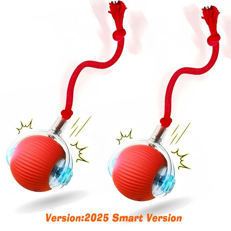 · Automatic Smart Ball for Dogs – Interactive Rolling Toy with Battery · Smart Dog Ball – Automatic Rolling & Bouncing Toy for Interactive Play · Rechargeable Automatic Dog Ball – Smart Toy for Endless Fun